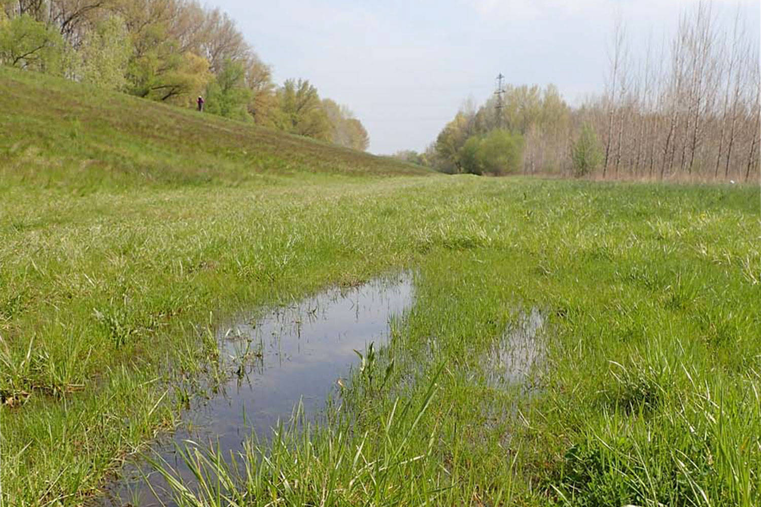 Csapadékvizes pocsolya Győrben